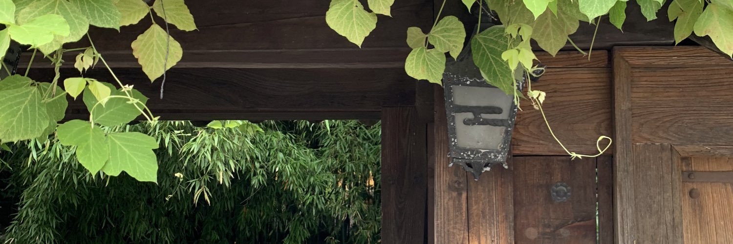 v_n_d_e's profile banner image