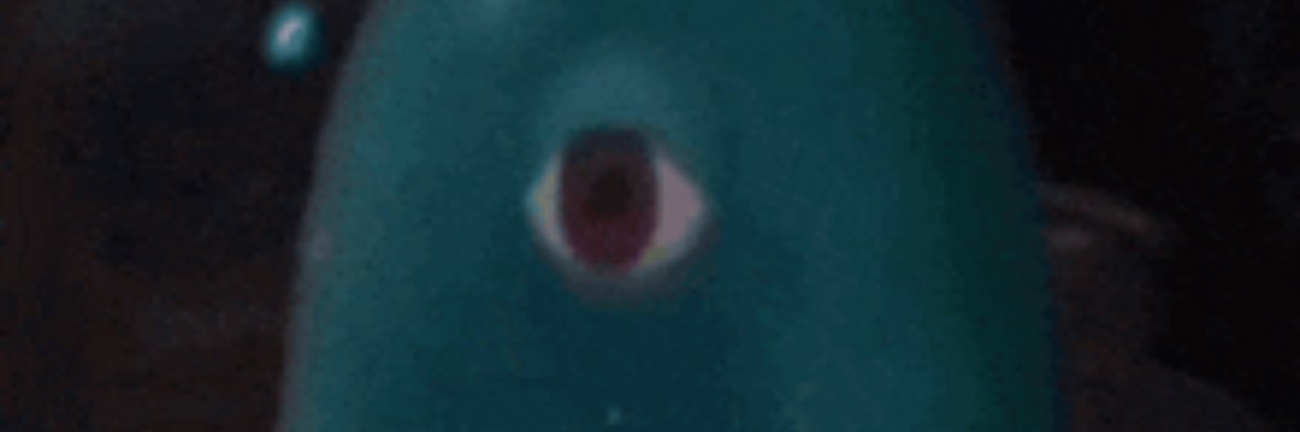 3 banner