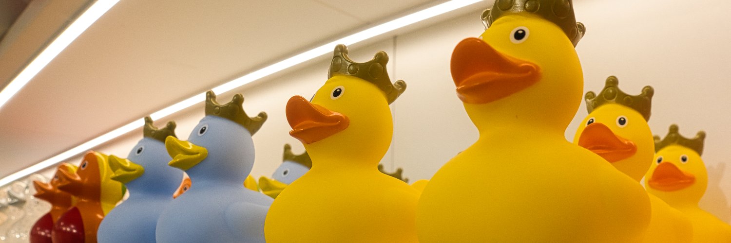 DucksForPeace's profile banner image