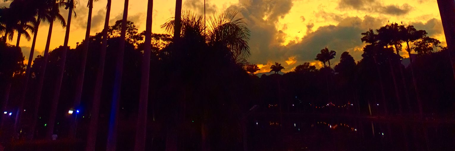 mmberto_'s profile banner image