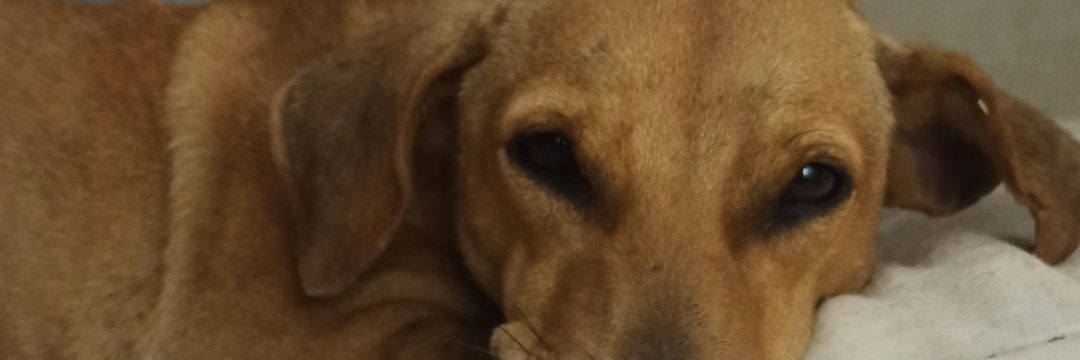 carlos2764's profile banner image