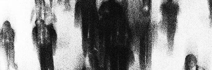 Tellor_b's profile banner image