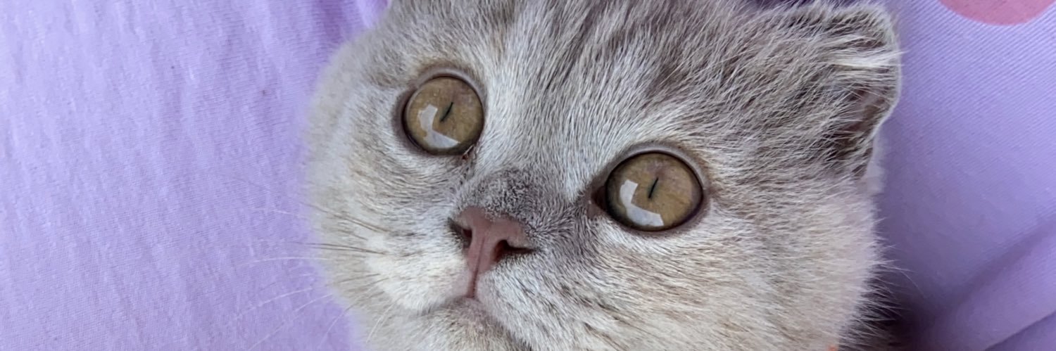 psdegilim's profile banner image