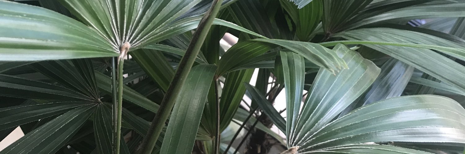 DaGarale's profile banner image
