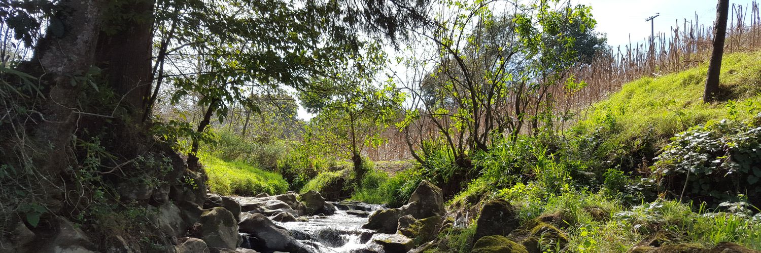 Isaac Palestina banner