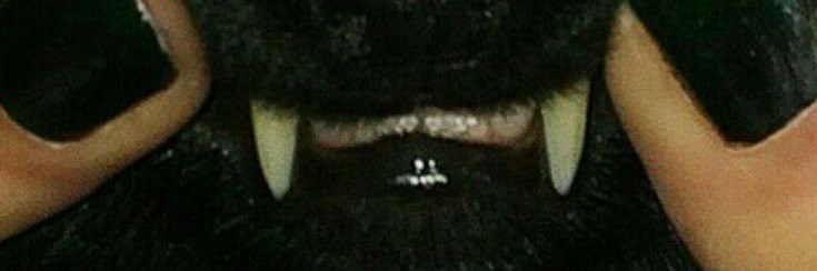 slimxnugget's profile banner image