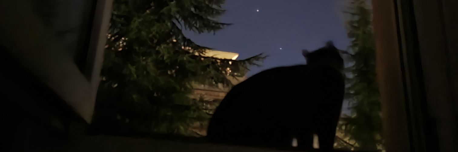 nanarldp's profile banner image