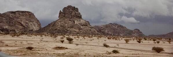 زعل الديحاني banner