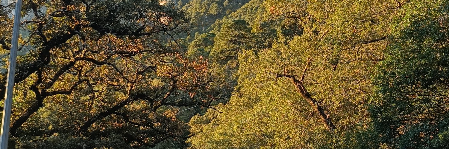 FlorCompean6's profile banner image