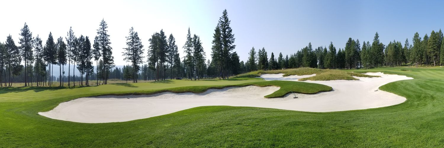 WildstoneTurf's profile banner image