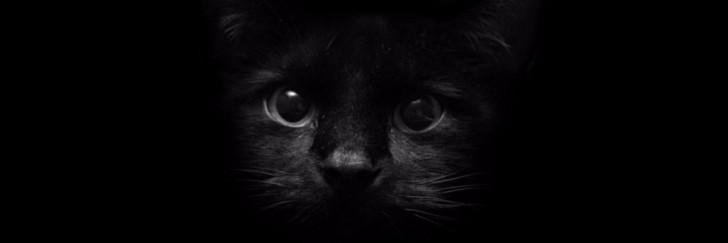 AlexLeviatana's profile banner image