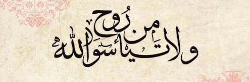 umnaseer99's profile banner image