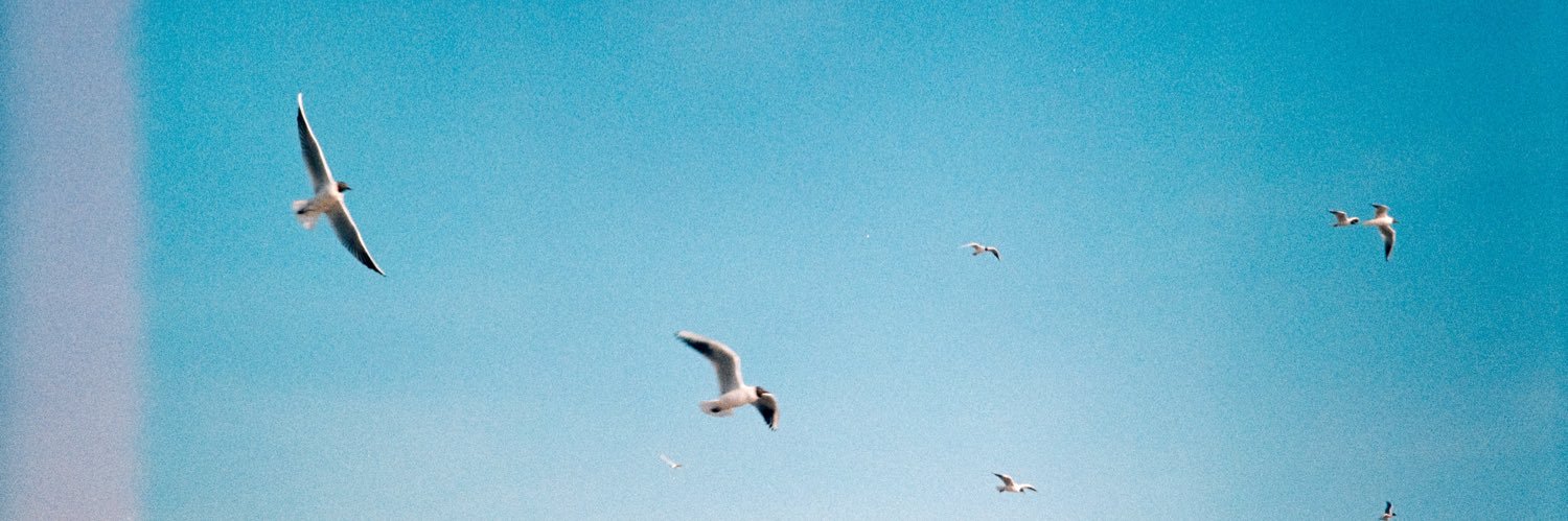 antdrug's profile banner image