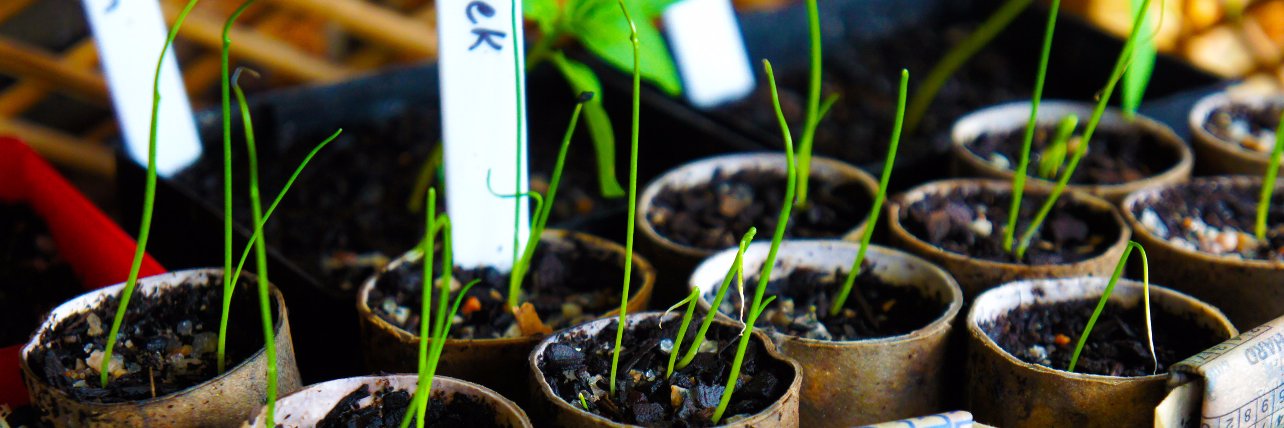 UrbanSelfSufficiency banner