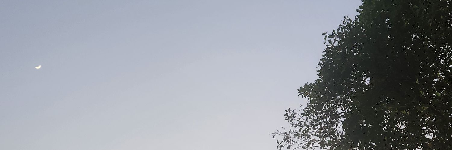 AliaRizkas's profile banner image