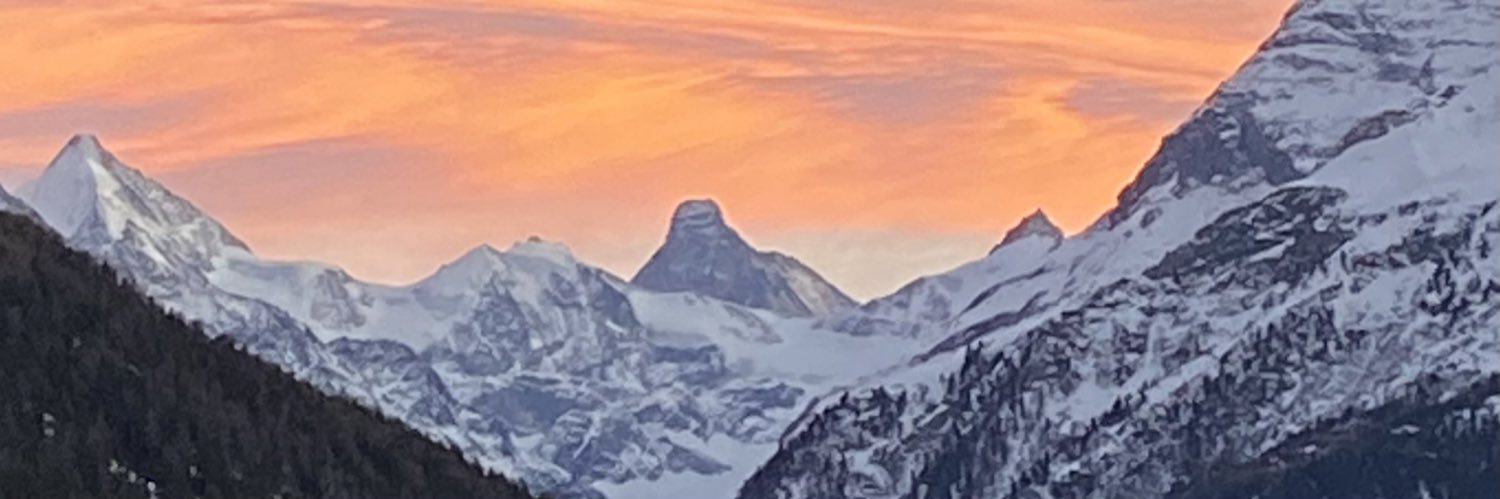 BjrnPet's profile banner image