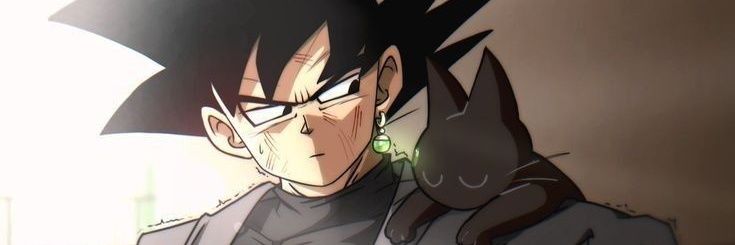 Raiden046's profile banner image