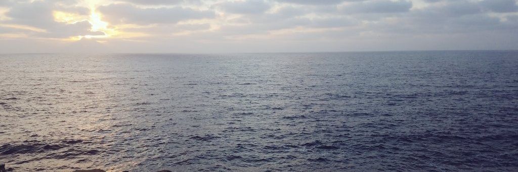 justbambs's profile banner image