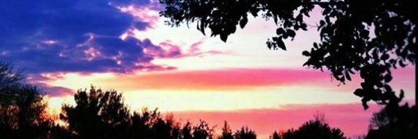 CJShotgun's profile banner image
