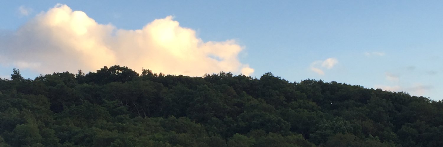 MattOlson8's profile banner image