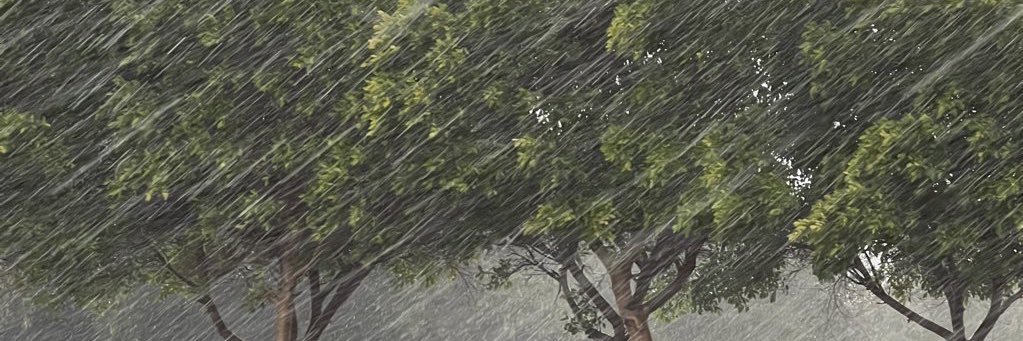 رَهف | banner