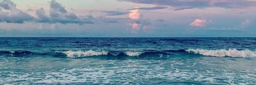 _ladycherry__'s profile banner image