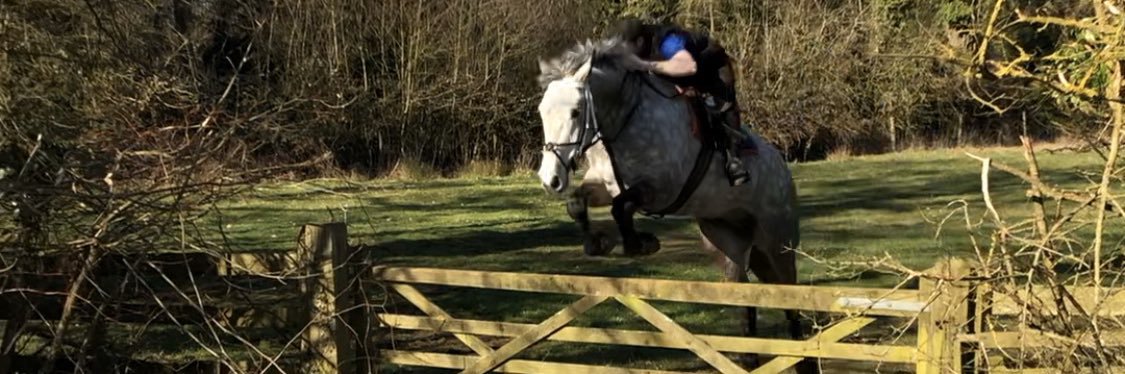 Maurice Linehan equestrian banner
