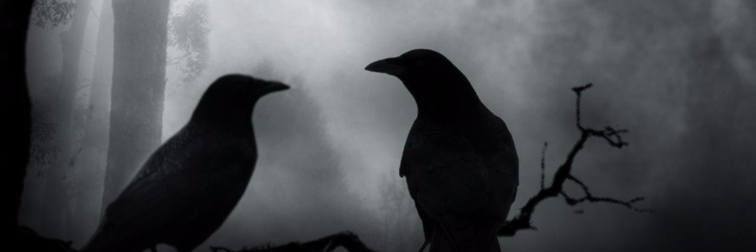 StingerWWF's profile banner image
