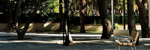 adaSTJ's profile banner image