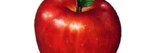 Jessica Pearson banner