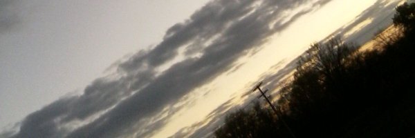 Ty banner