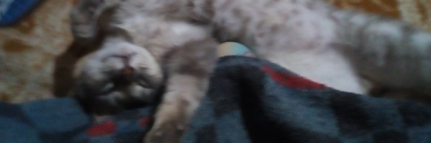 zerok_boony's profile banner image
