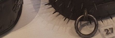 Egvanavich's profile banner image