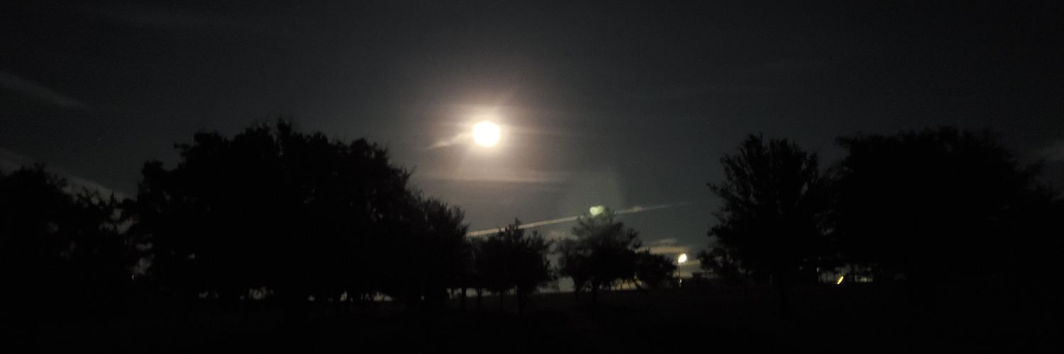 TexasDottie's profile banner image