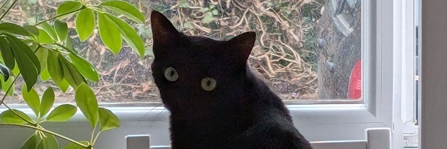 Beloutr's profile banner image