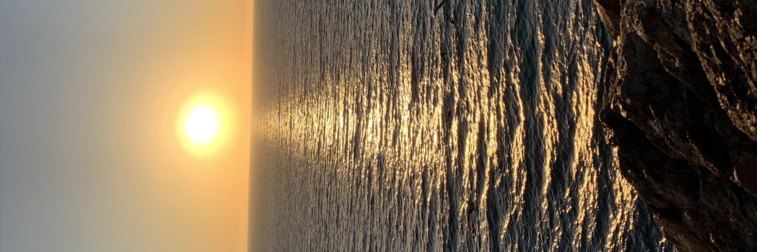 moose_tafa's profile banner image