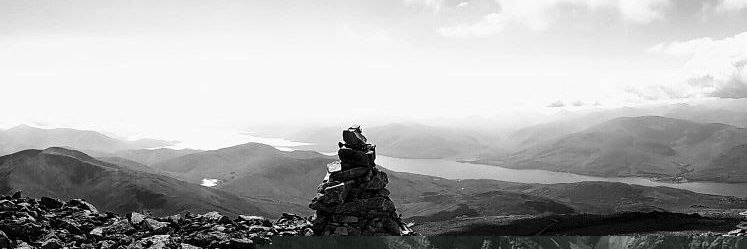 tritoke🏳️‍🌈 banner