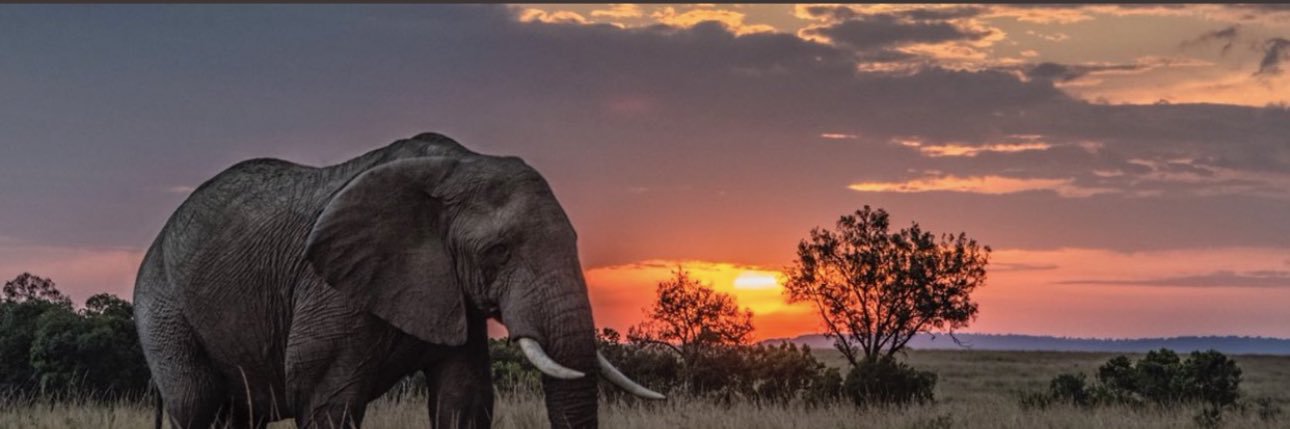 itskiondwa's profile banner image