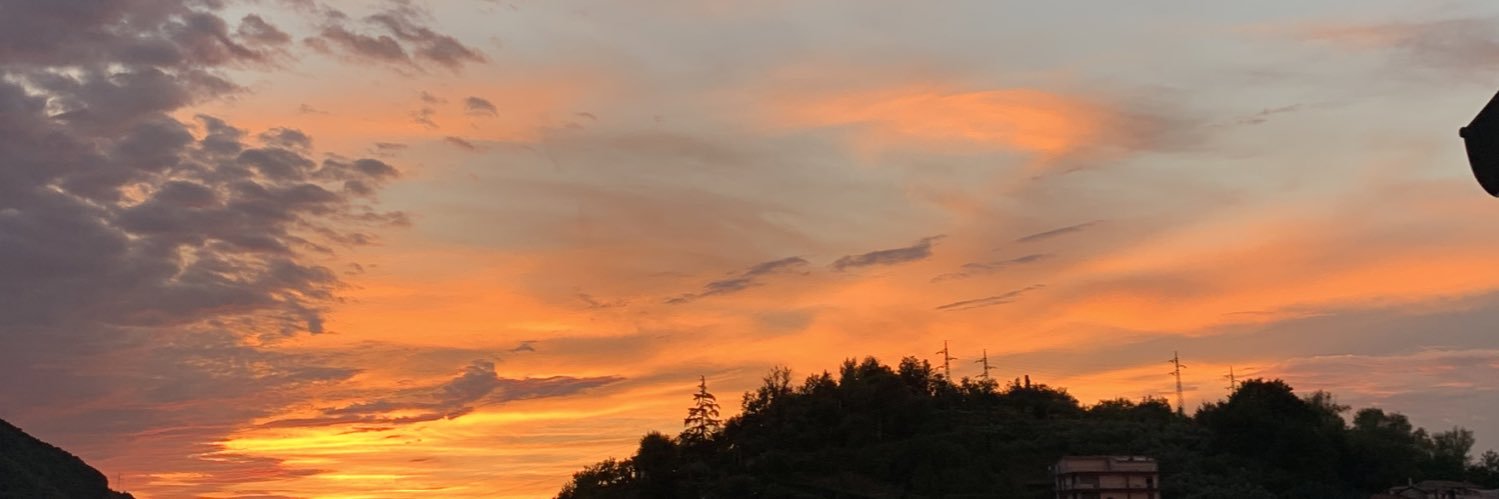 aalbicoccaa's profile banner image