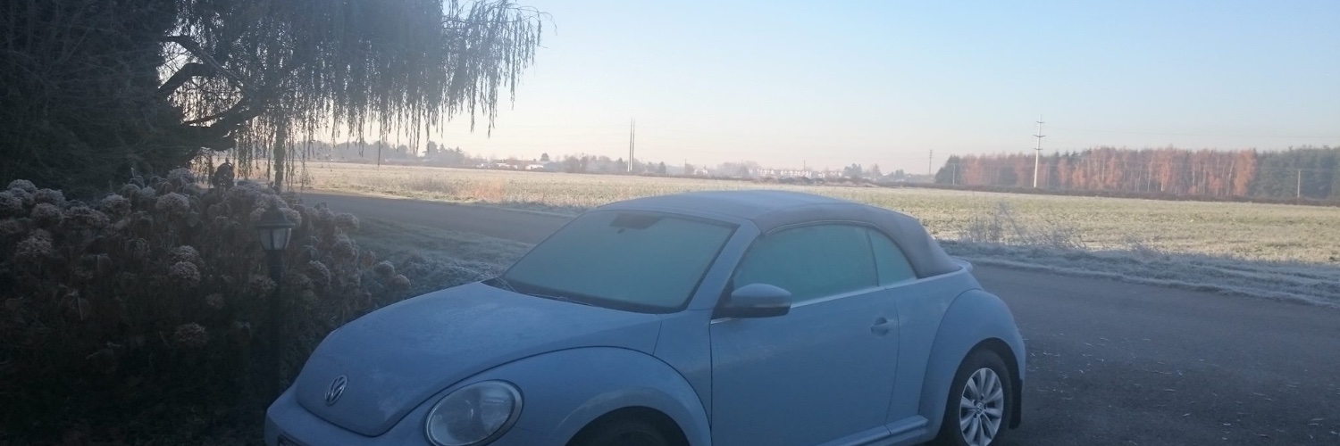 INDIGENOUS WHITE MAN banner