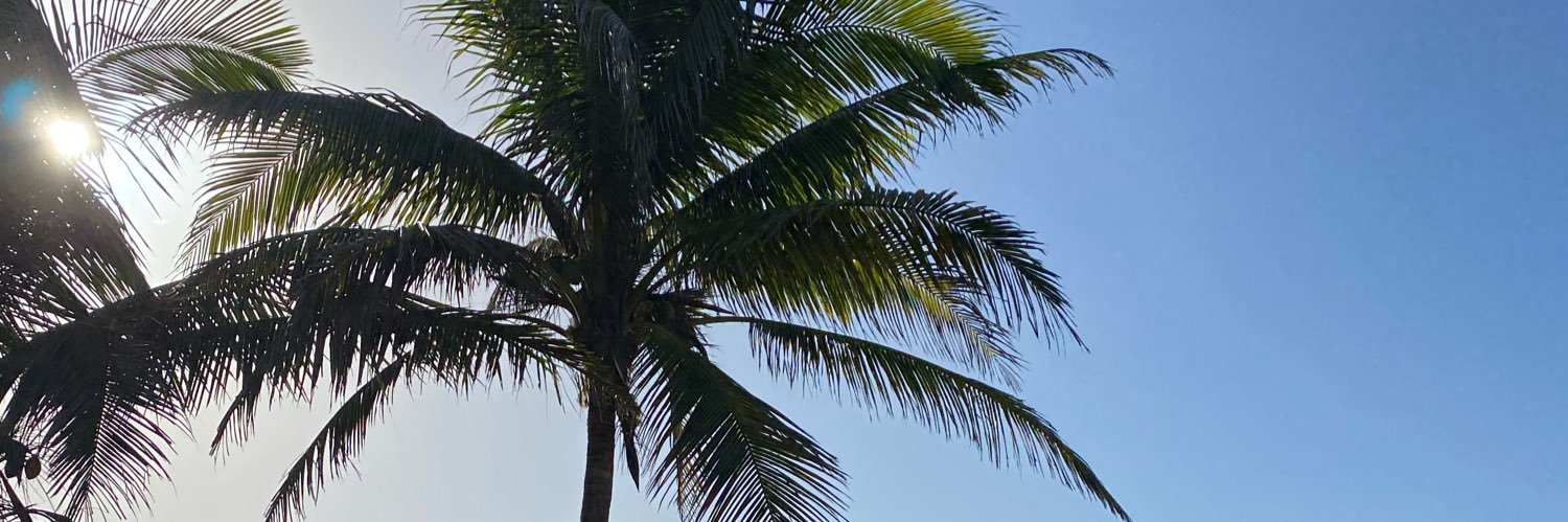 madibylak's profile banner image