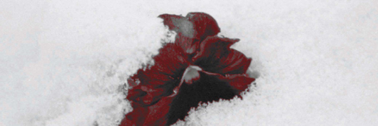 FerventWinter's profile banner image