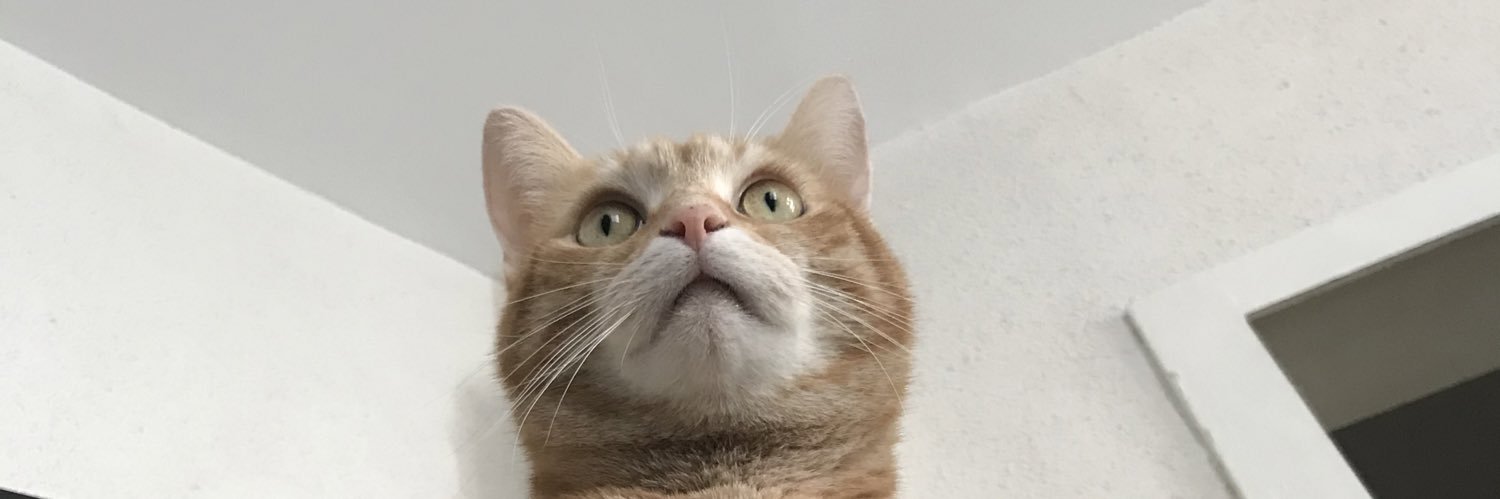 lucietrange's profile banner image