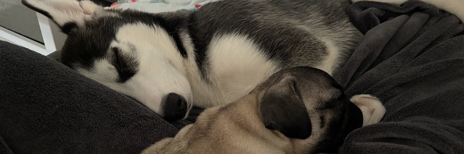 GeneralRoscoPUG's profile banner image