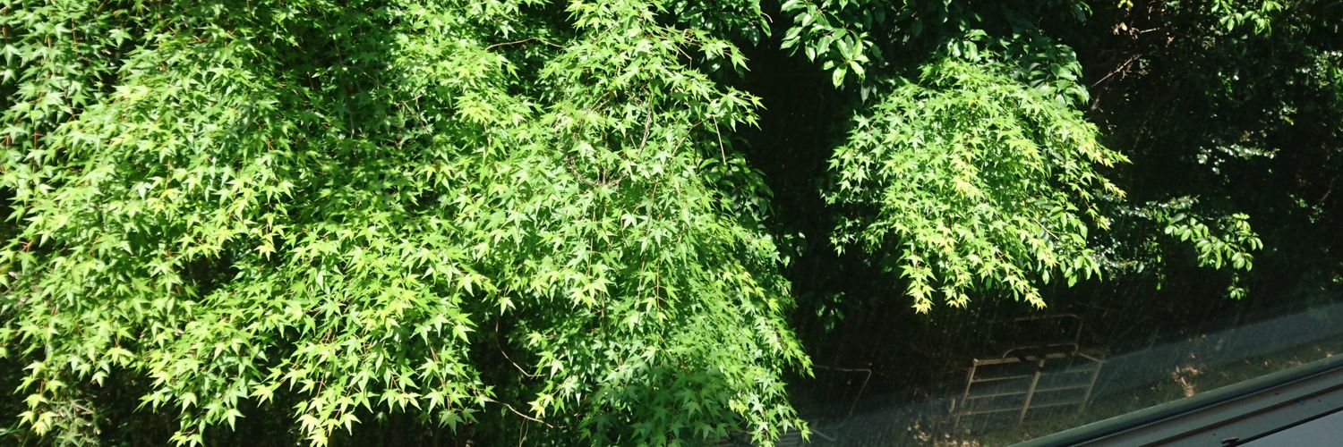 KskGasasuke's profile banner image