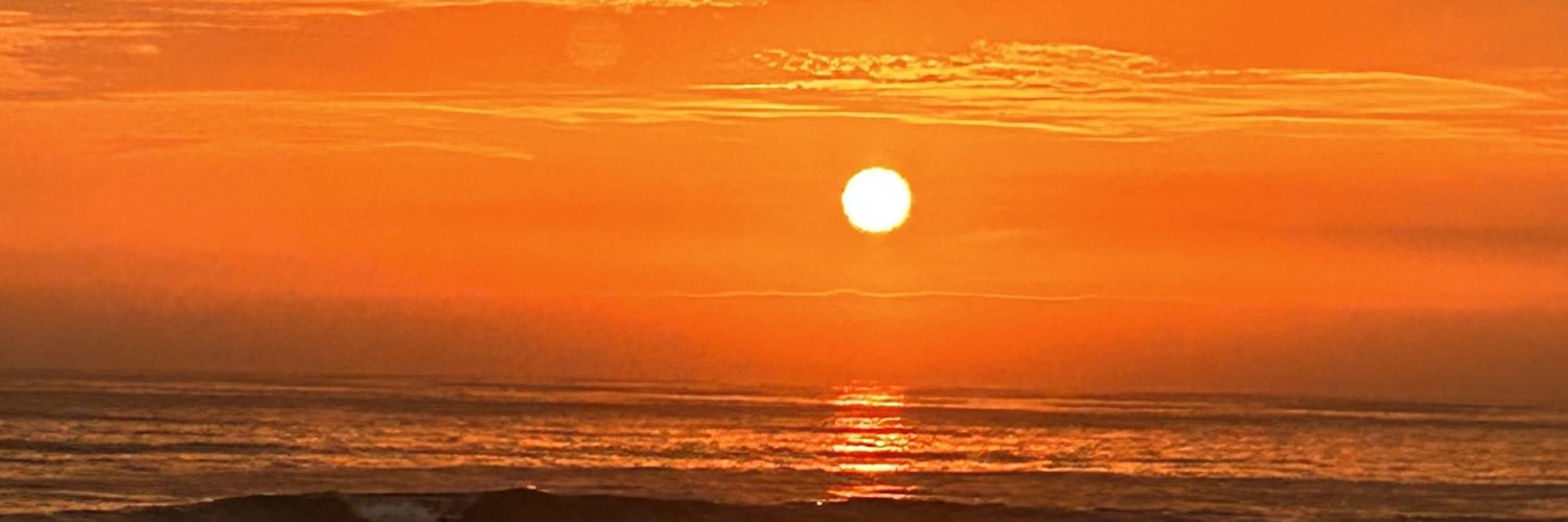fladelc's profile banner image