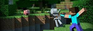 multiplayercraf's profile banner image