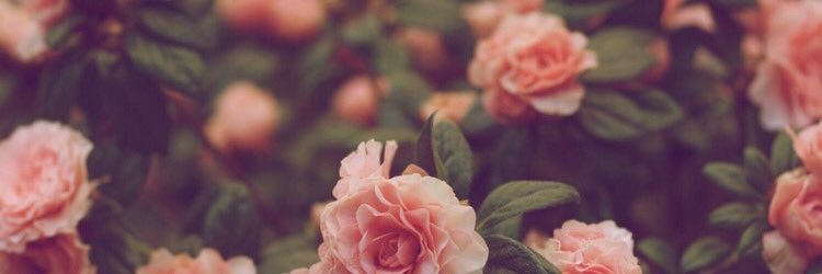 ninamason278's profile banner image
