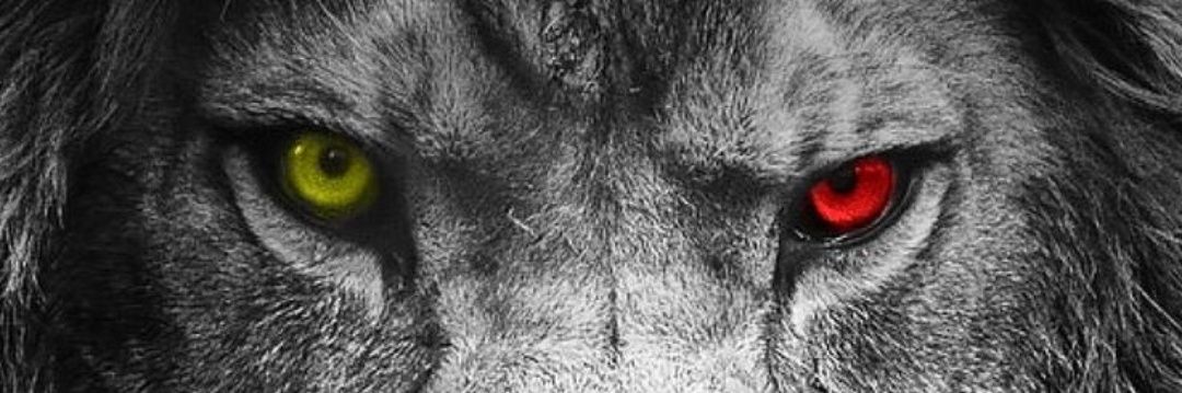 0ztrk24's profile banner image