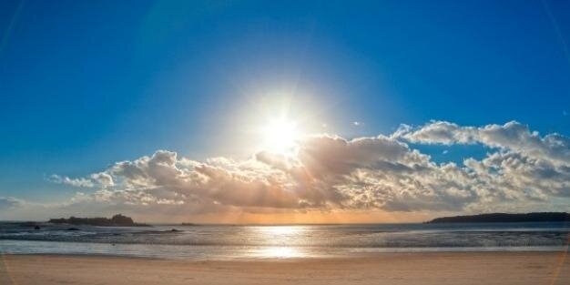 Mario Jimenez banner